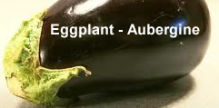 aubergine eggplant