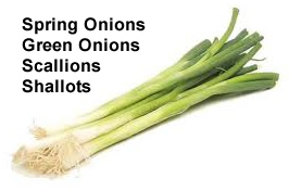 spring onions schallots green onions scallions